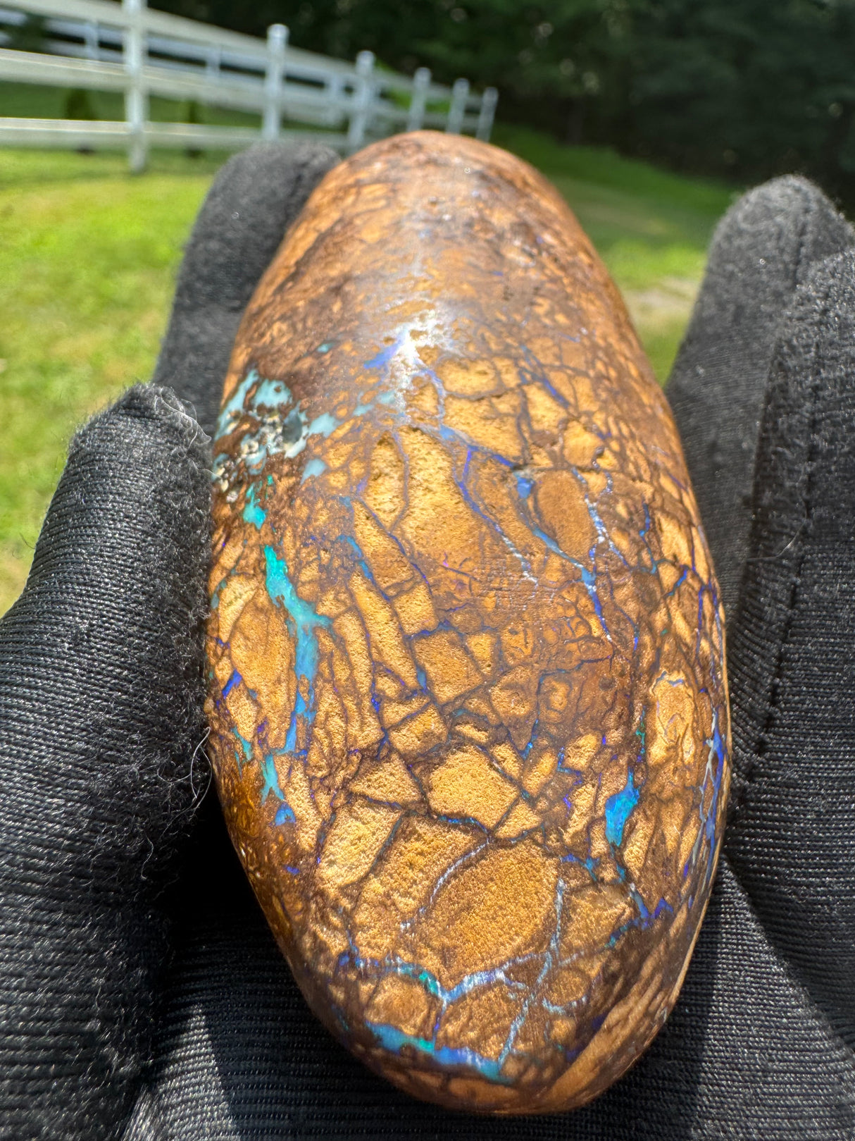 Rare Natural Boulder Opal – 251g