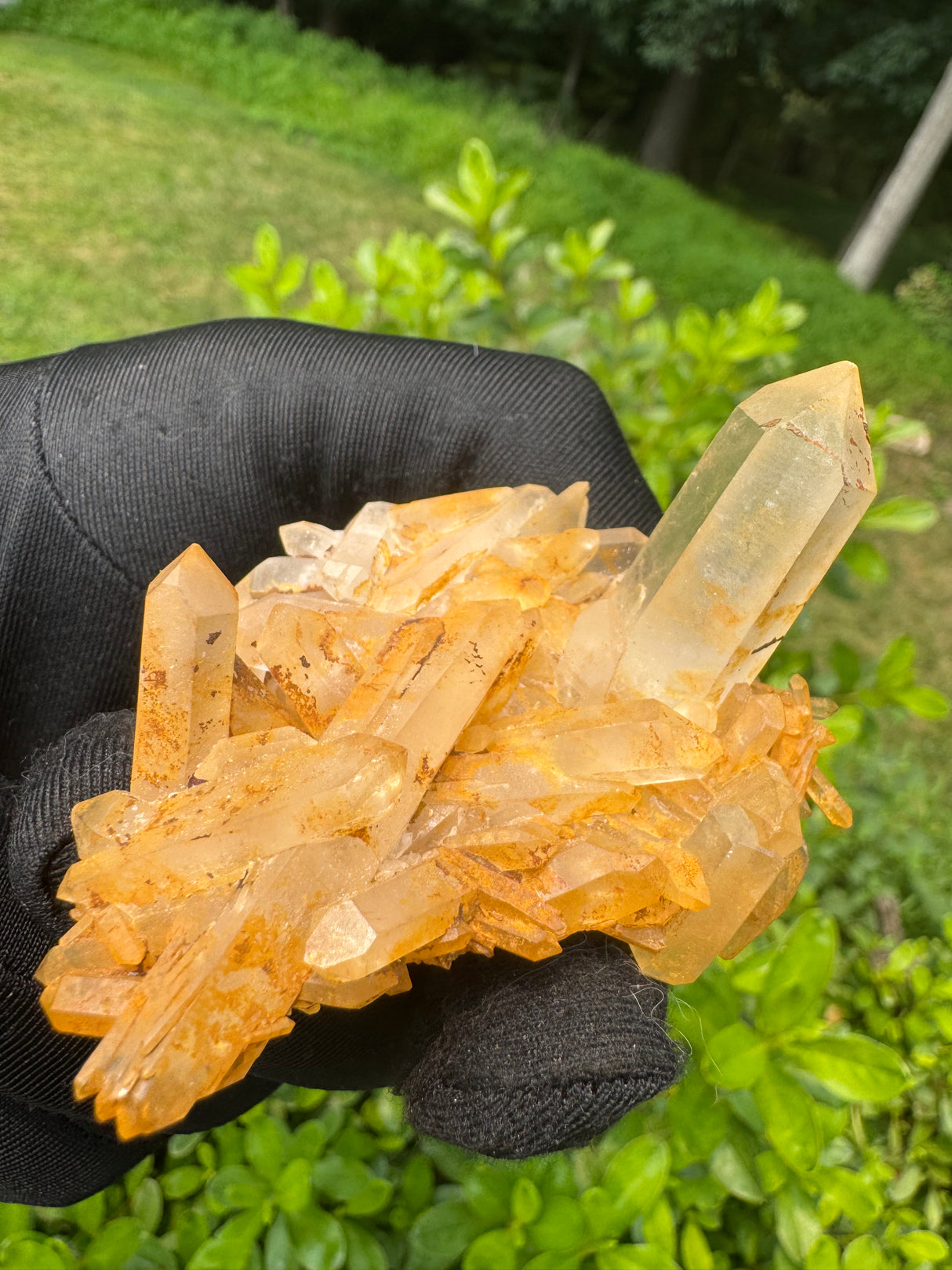 Quartz Specimen - 48g