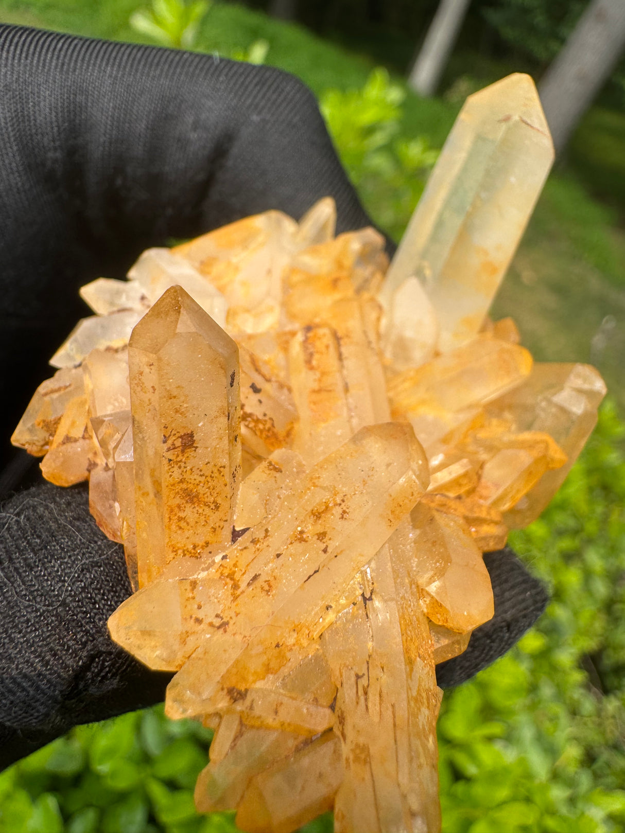 Quartz Specimen - 48g