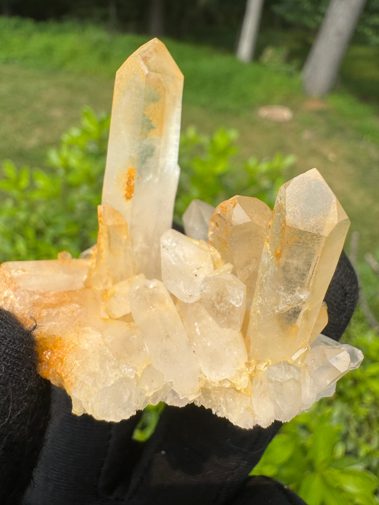 Quartz Specimen - 36g