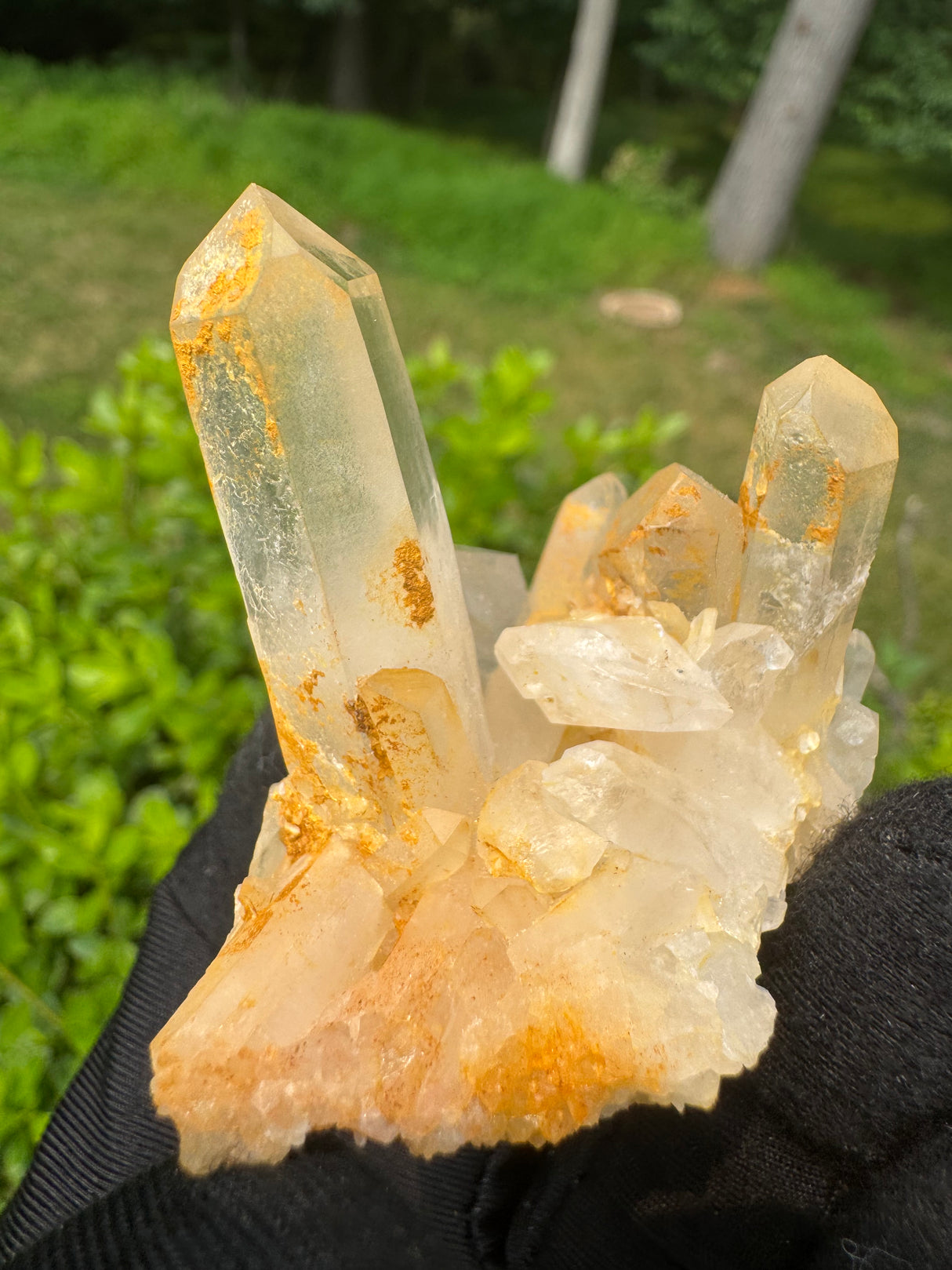 Quartz Specimen - 36g