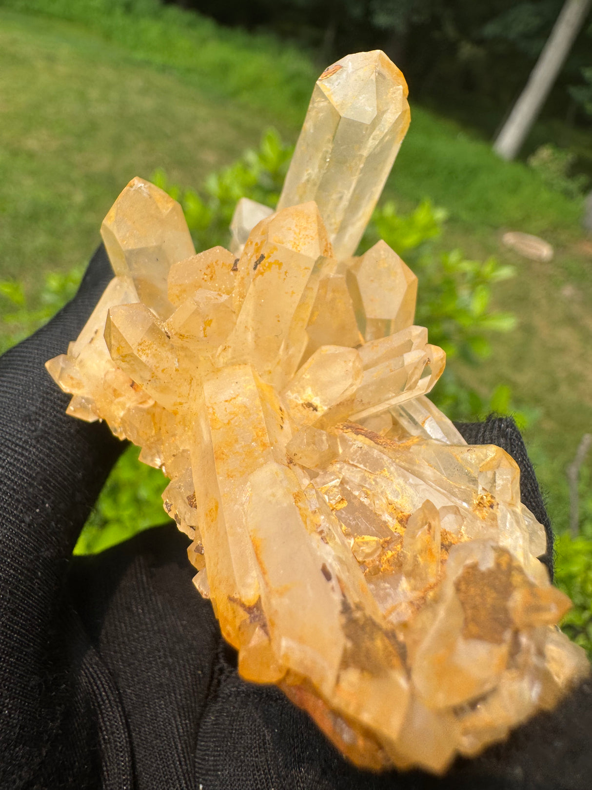 Quartz Specimen - 64g