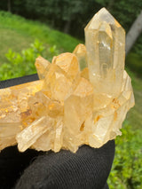 Quartz Specimen - 64g