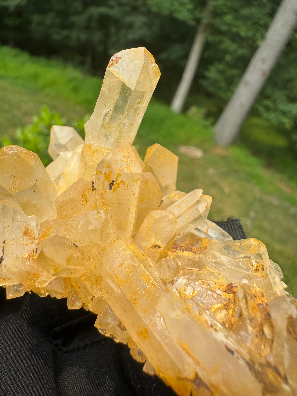 Quartz Specimen - 64g