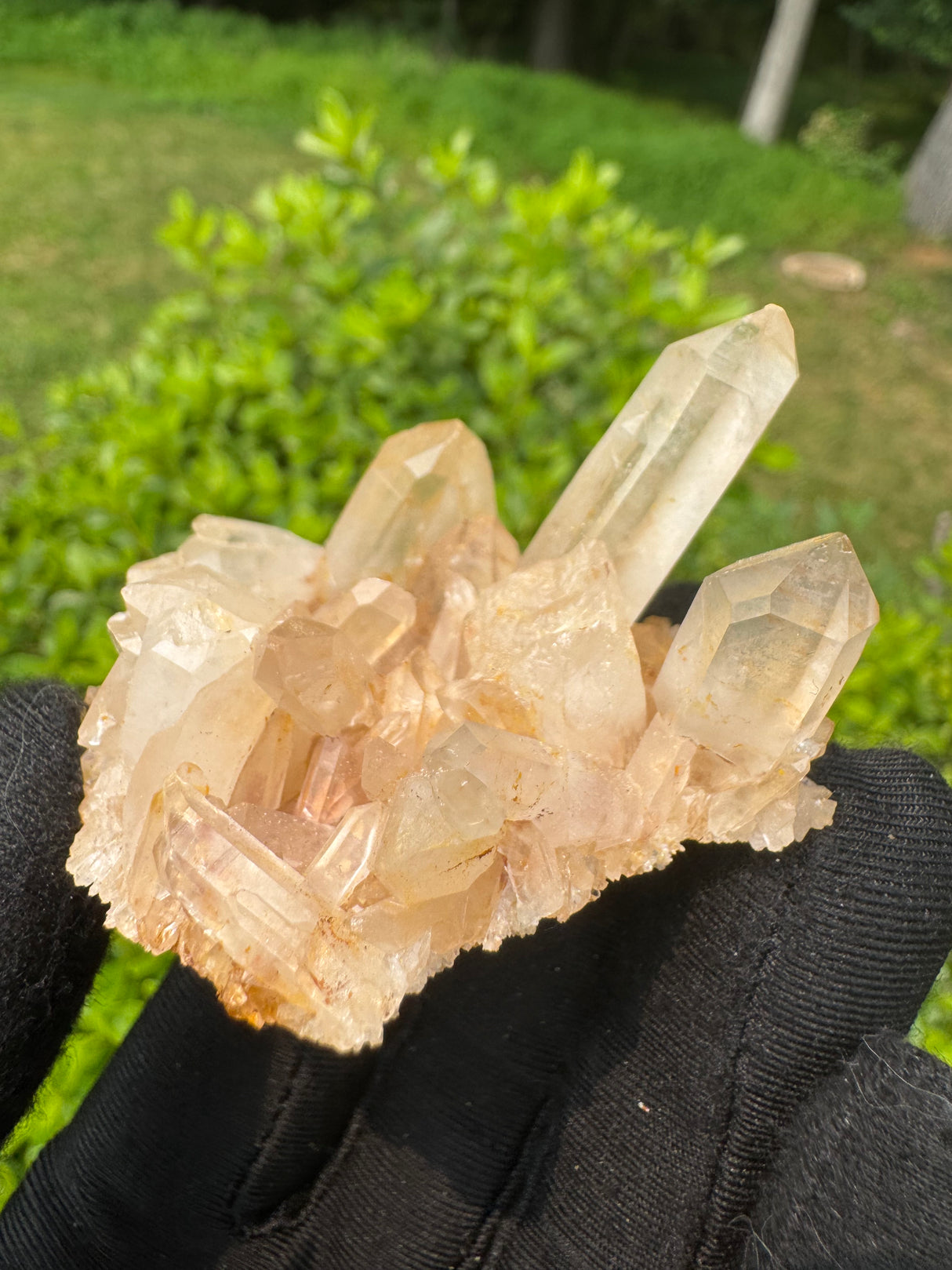 Quartz Specimen - 62g
