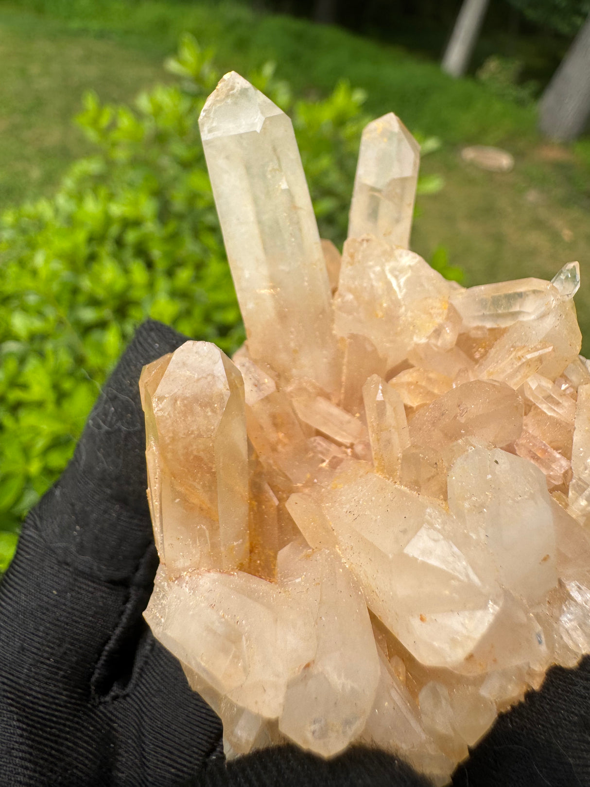 Quartz Specimen - 62g