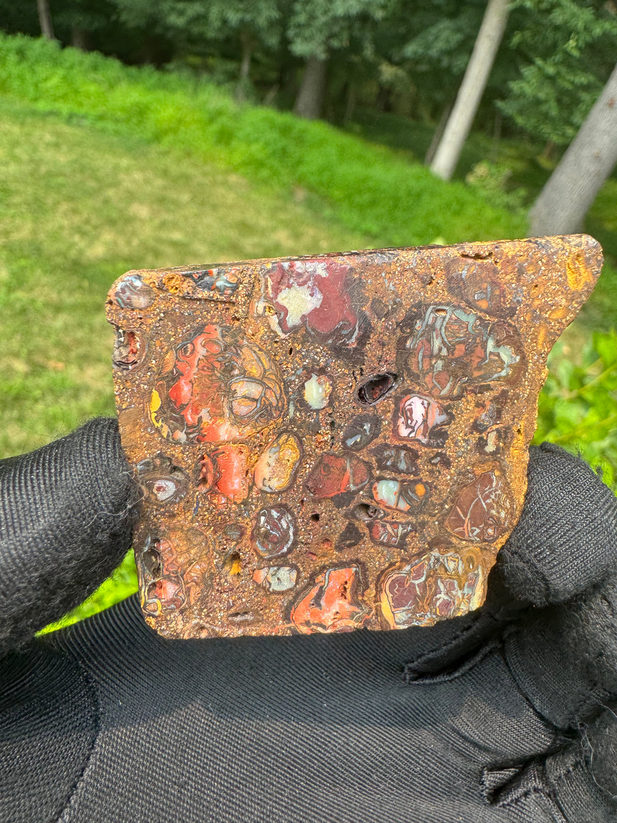 Australia Opal - 46g