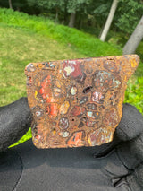 Australia Opal - 46g