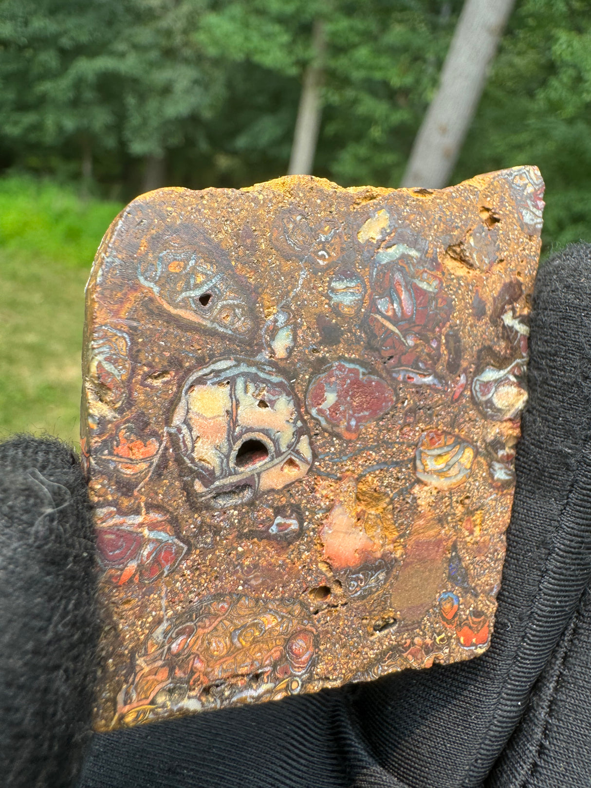Australia Opal - 46g