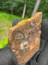 Australia Opal - 46g