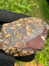Australia Opal - 51g