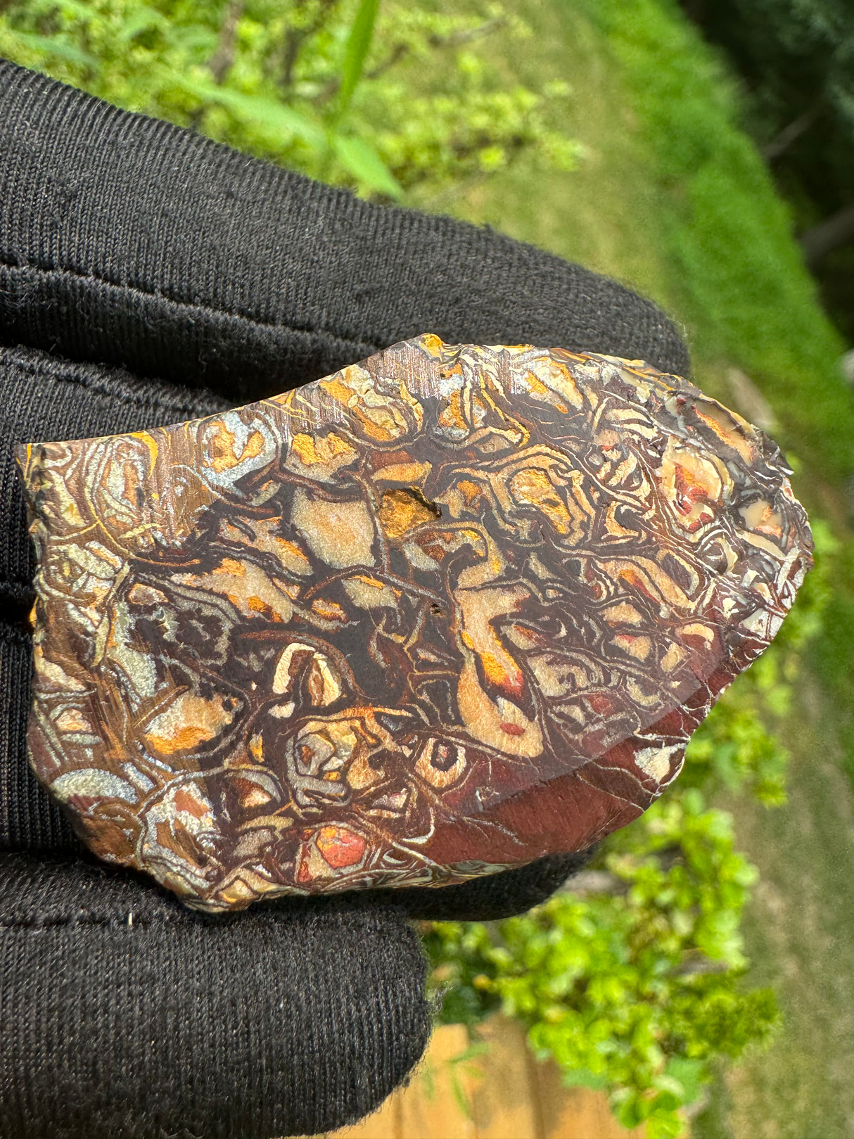 Australia Opal - 51g