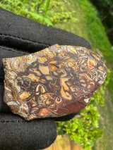Australia Opal - 51g
