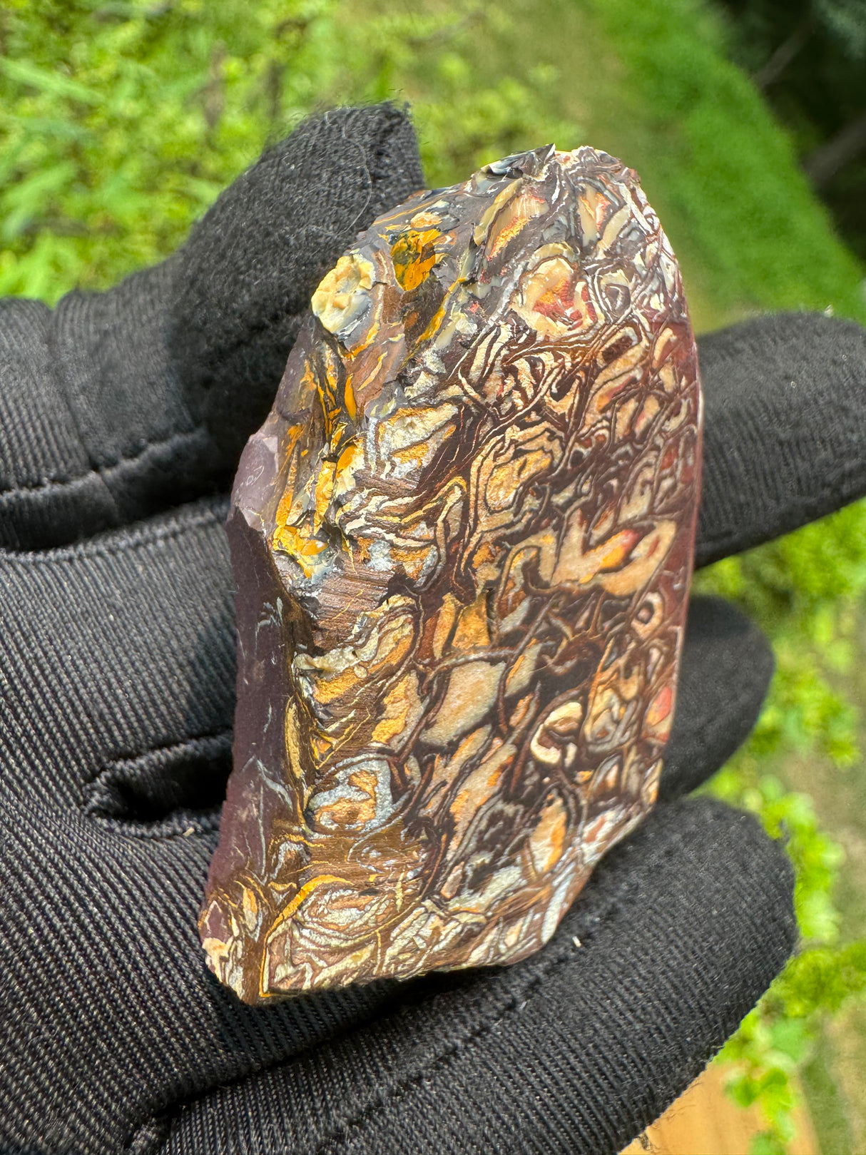 Australia Opal - 51g