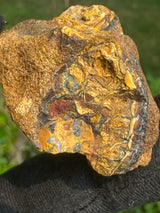 Australia Opal - 32g