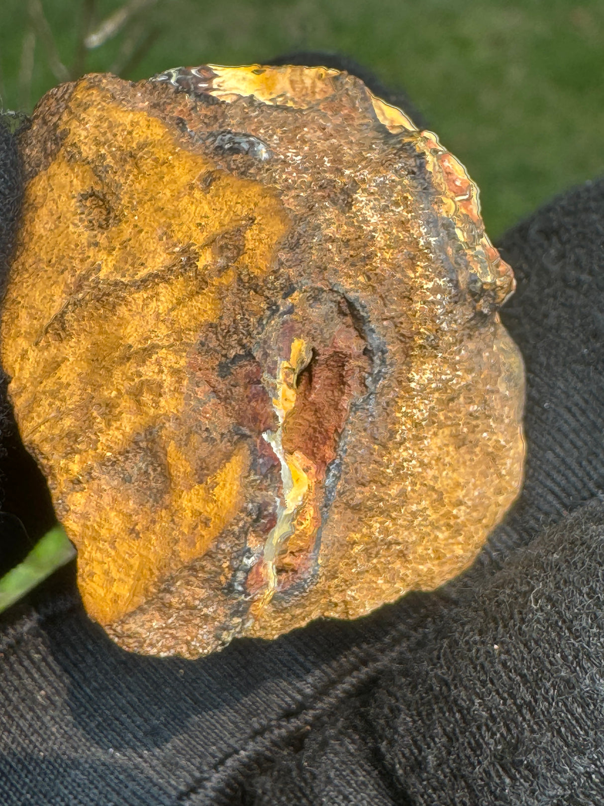 Australia Opal - 32g