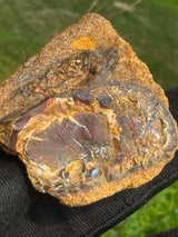 Australia Opal - 32g