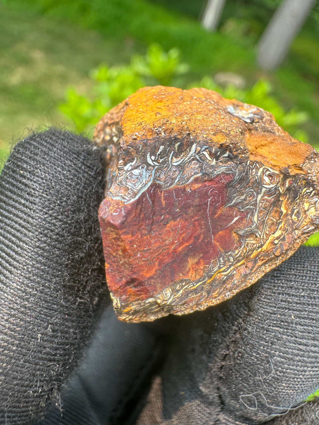Australia Opal - 23g