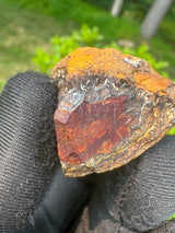 Australia Opal - 23g