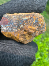Australia Opal - 23g