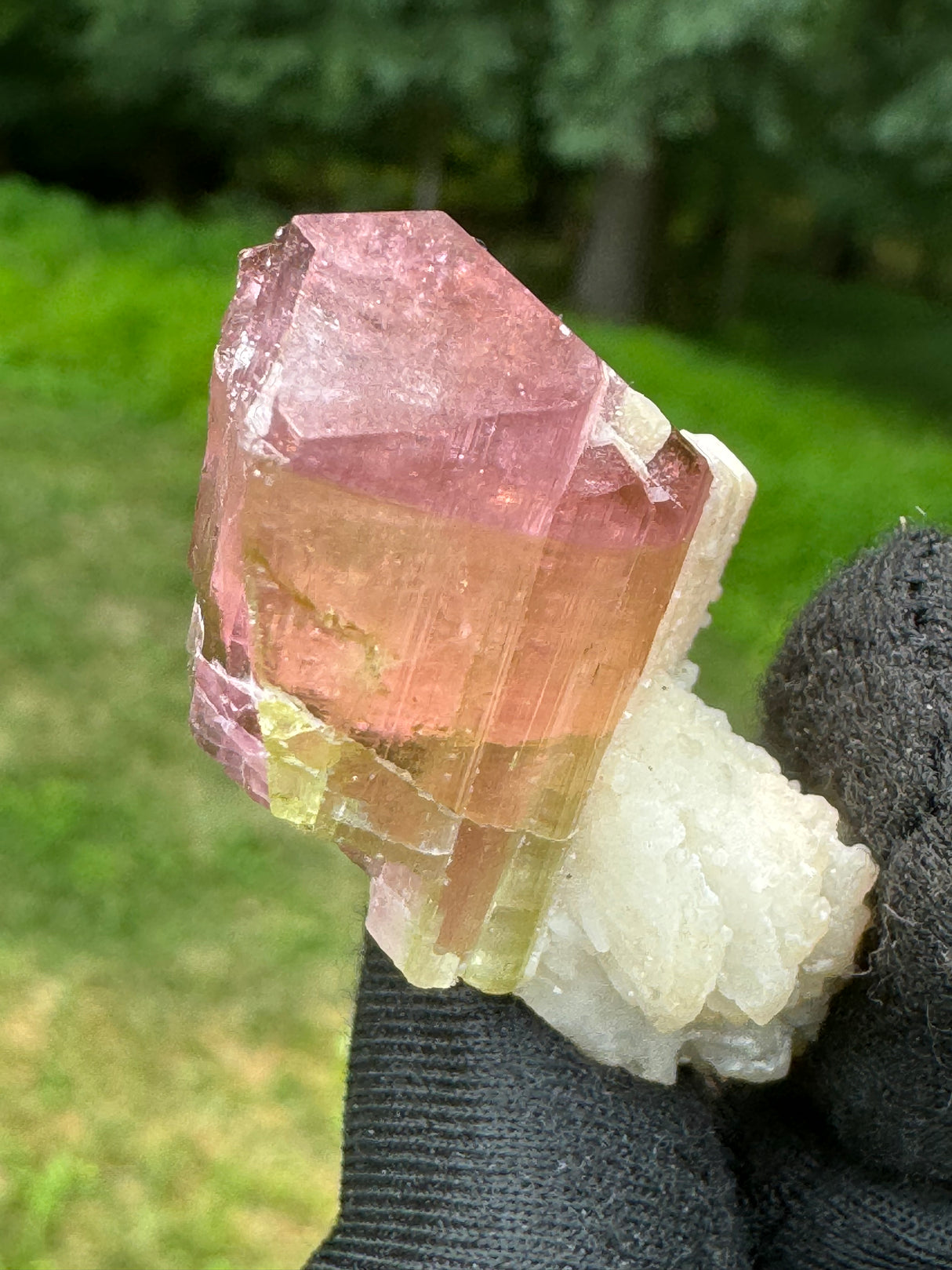 Tourmaline Crystal - 24.97g