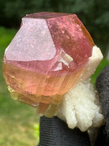 Tourmaline Crystal - 24.97g