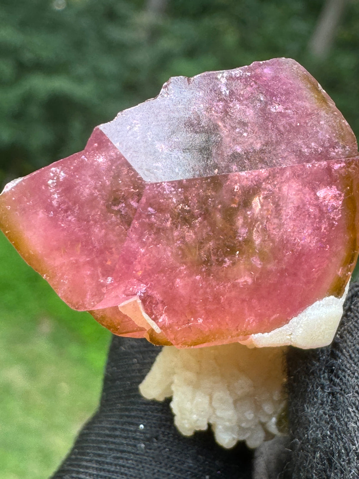 Tourmaline Crystal - 24.97g