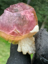 Tourmaline Crystal - 24.97g