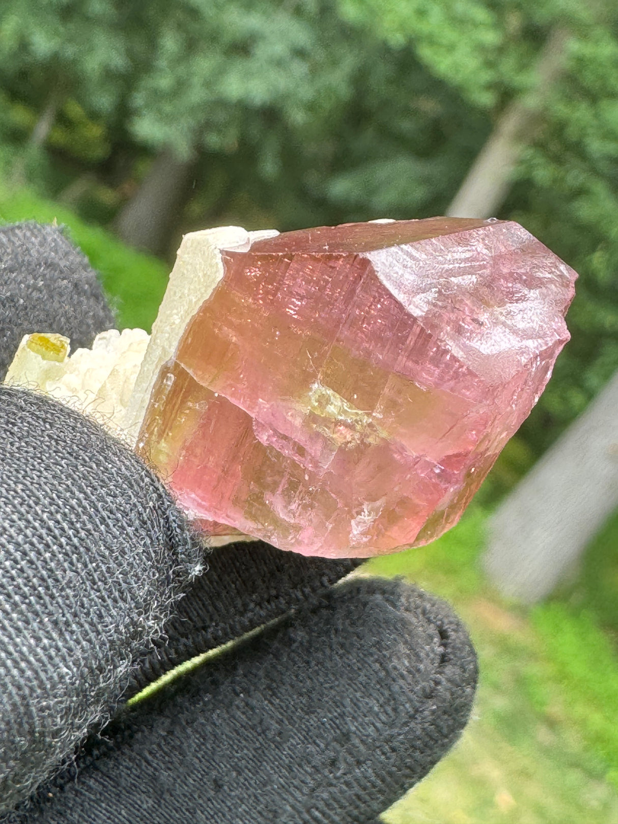 Tourmaline Crystal - 24.97g