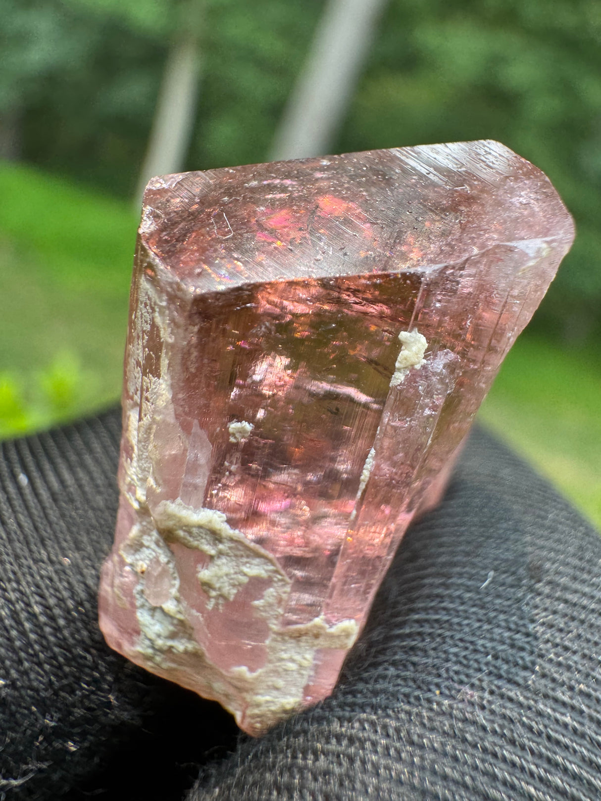 Tourmaline Crystal - 10.83g