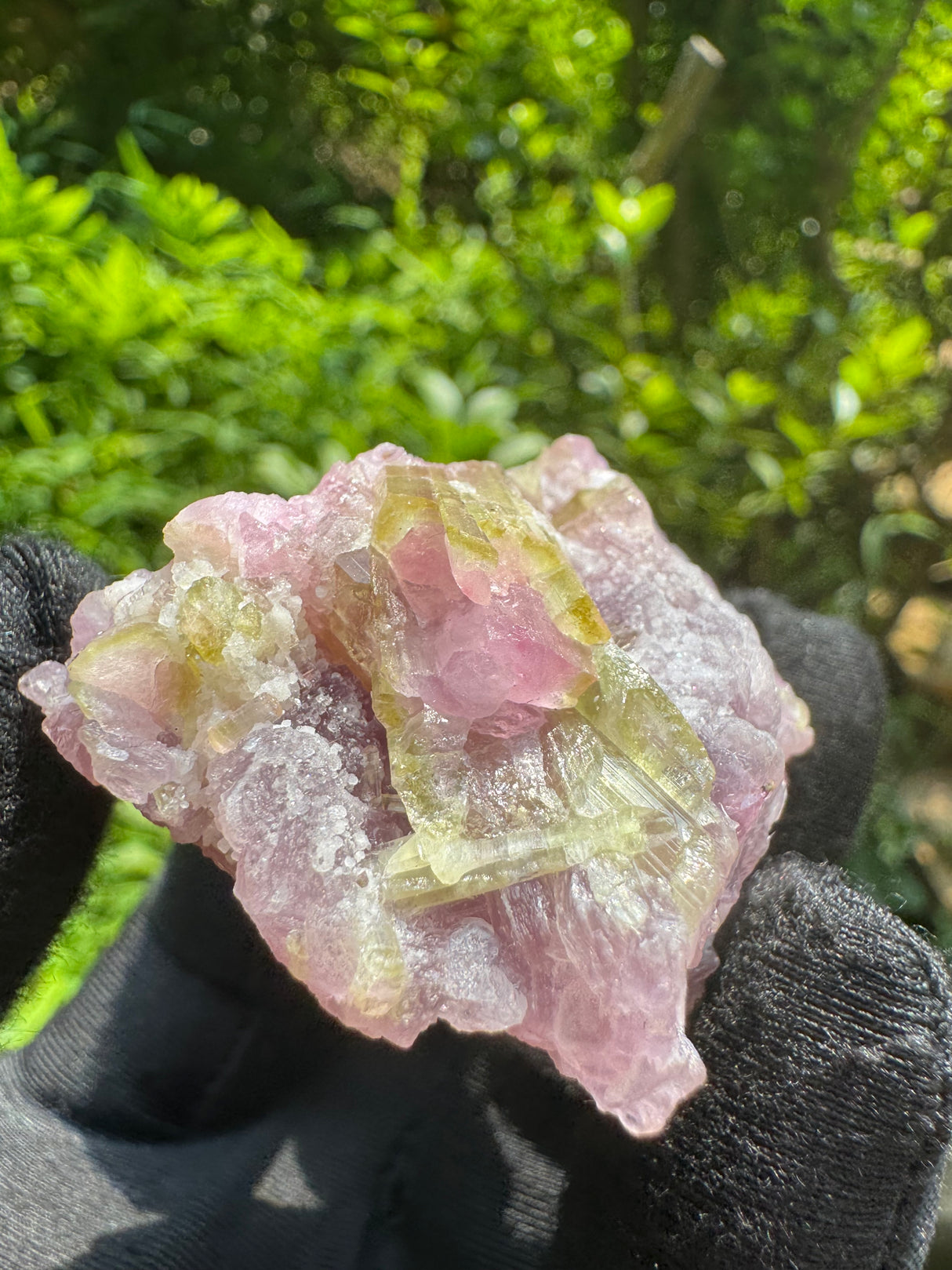 Watermelon Tourmaline Specimen - 74g