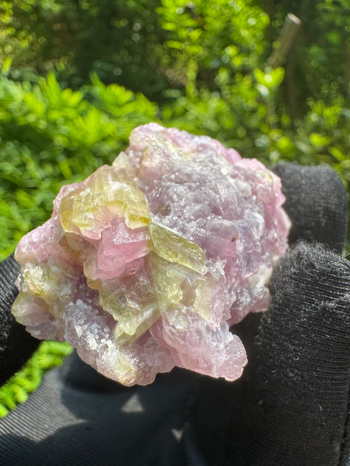 Watermelon Tourmaline Specimen - 74g
