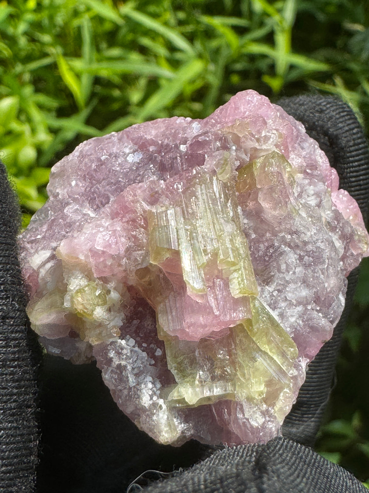 Watermelon Tourmaline Specimen - 74g