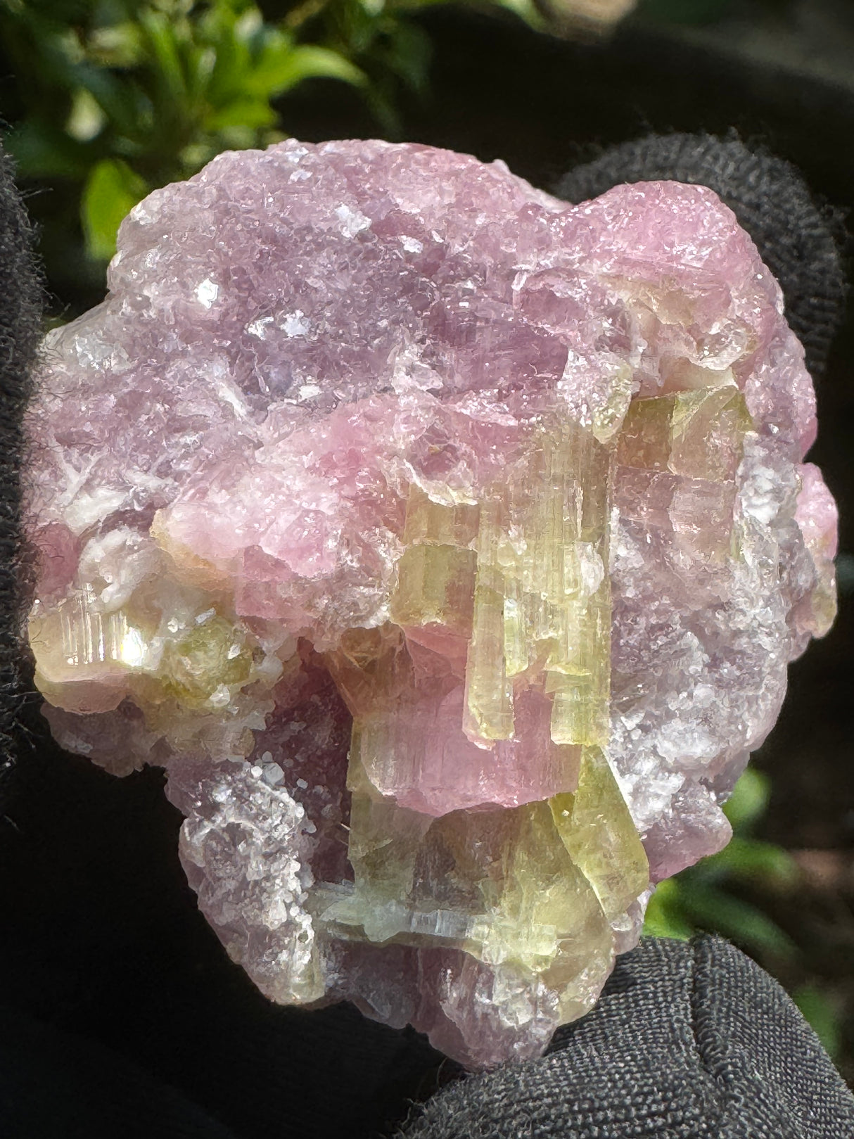 Watermelon Tourmaline Specimen - 74g