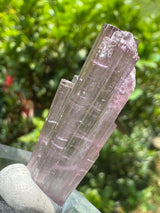 Tourmaline Crystal - 6.25g
