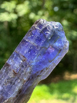 Tanzanite Crystal - 6g