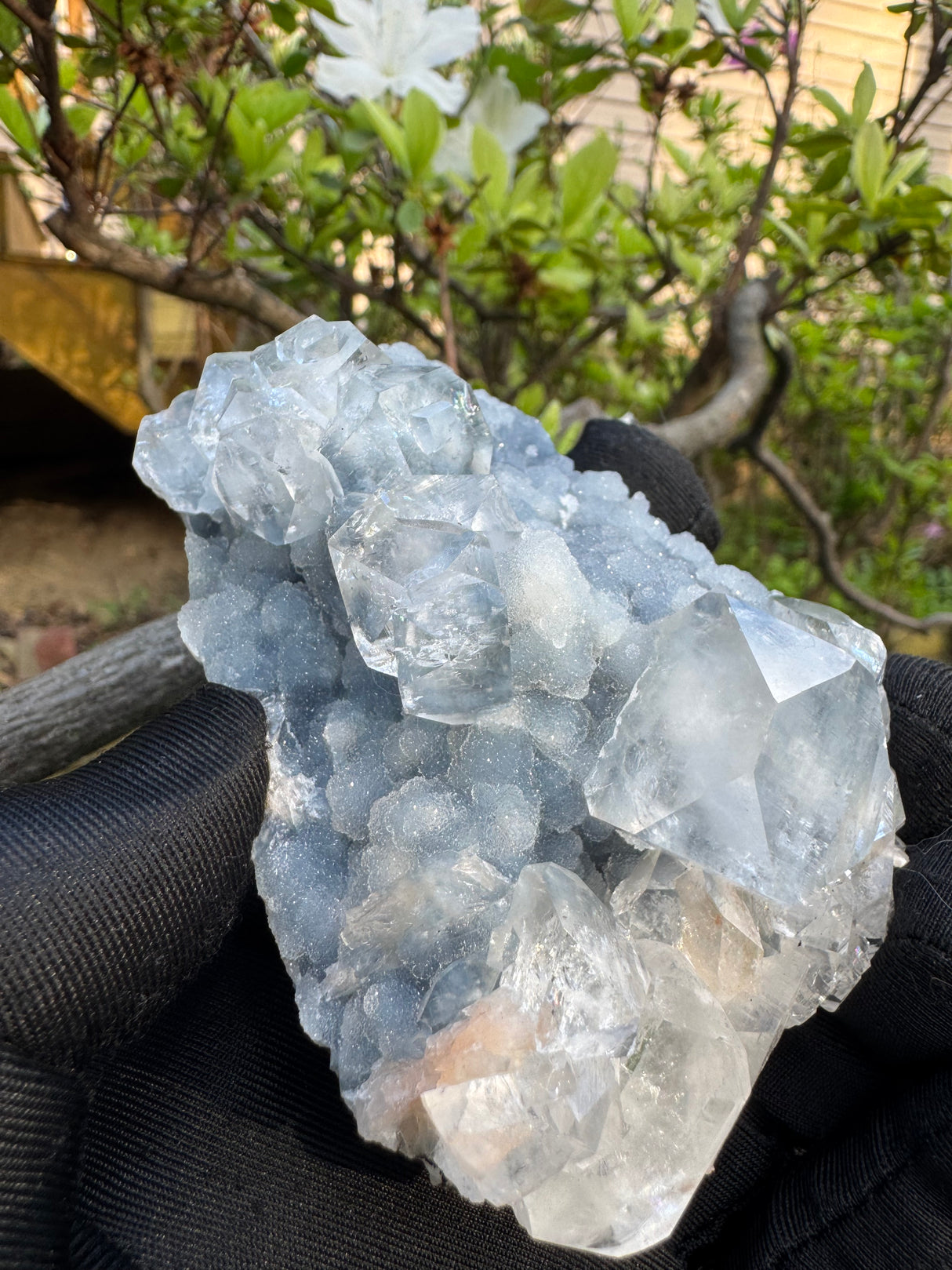 Apophyllite & Blue Chalcedony Specimen - 251g