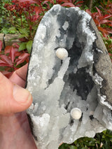 Chalcedony & Okenite Specimen - 587g