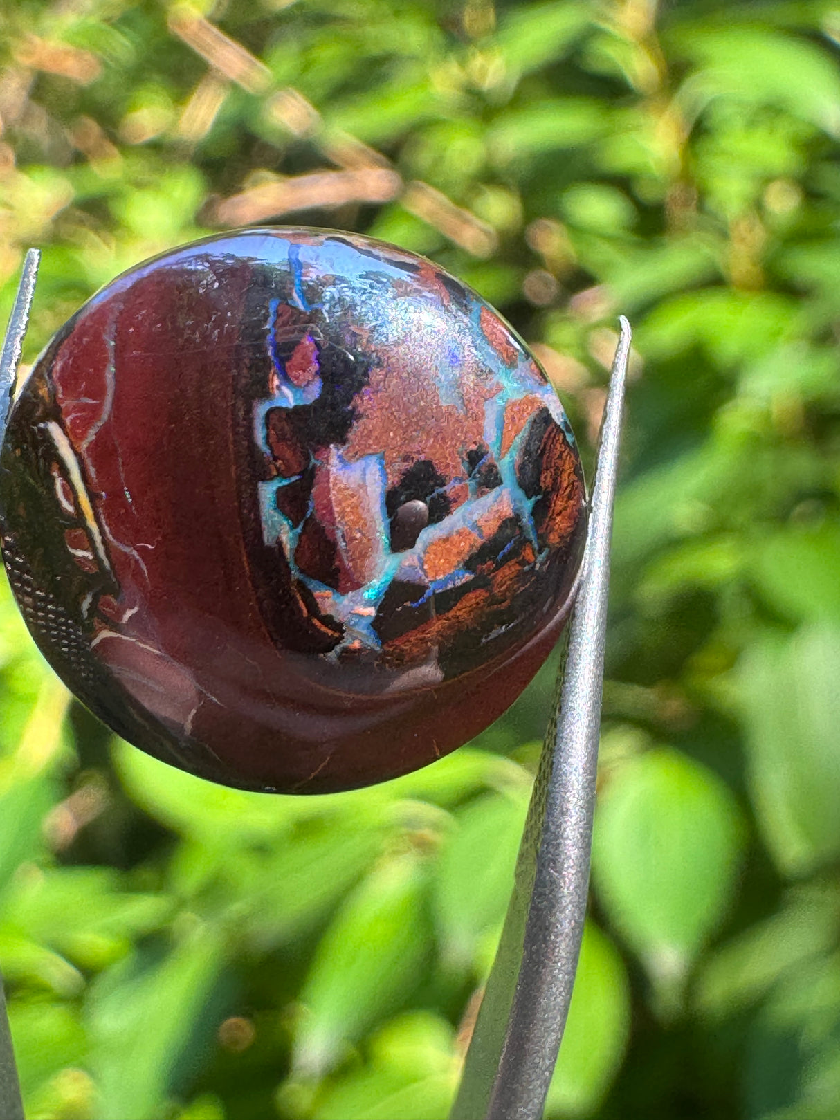 Opal Specimen - 2g