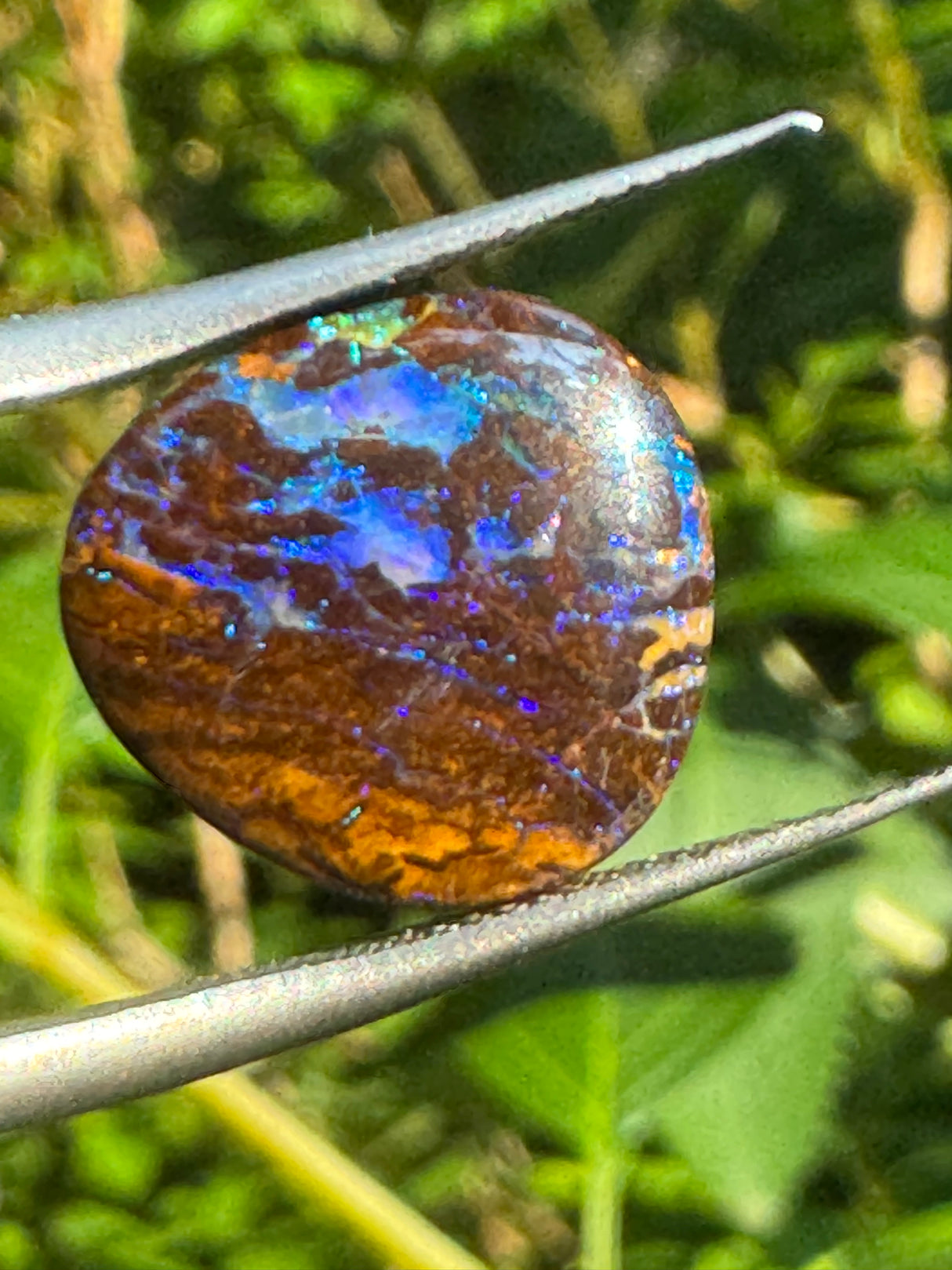 Opal Specimen - 2g