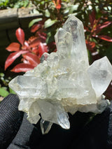 Quartz Specimen - 65g