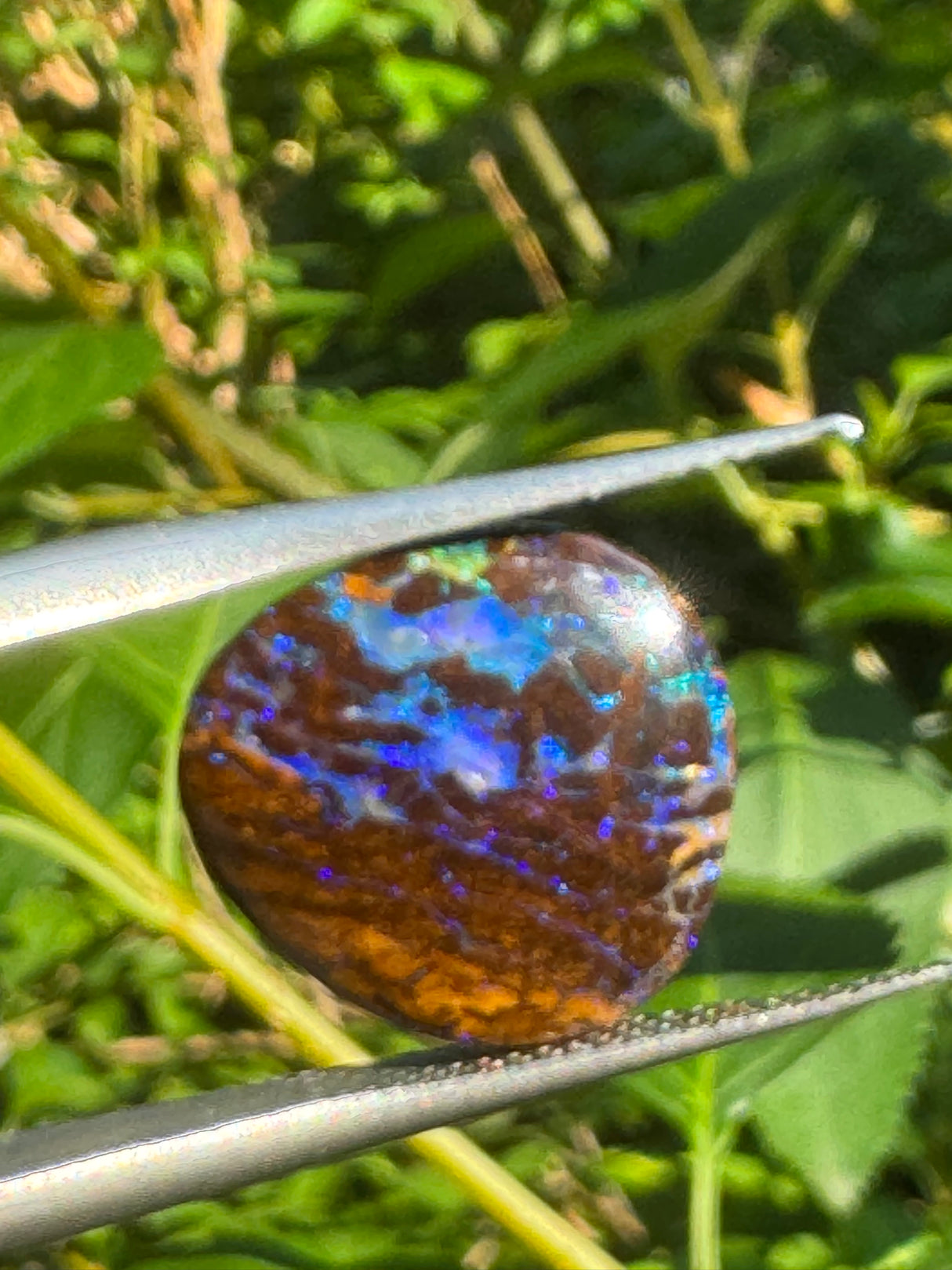 Opal Specimen - 2g