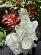 Quartz Specimen - 65g
