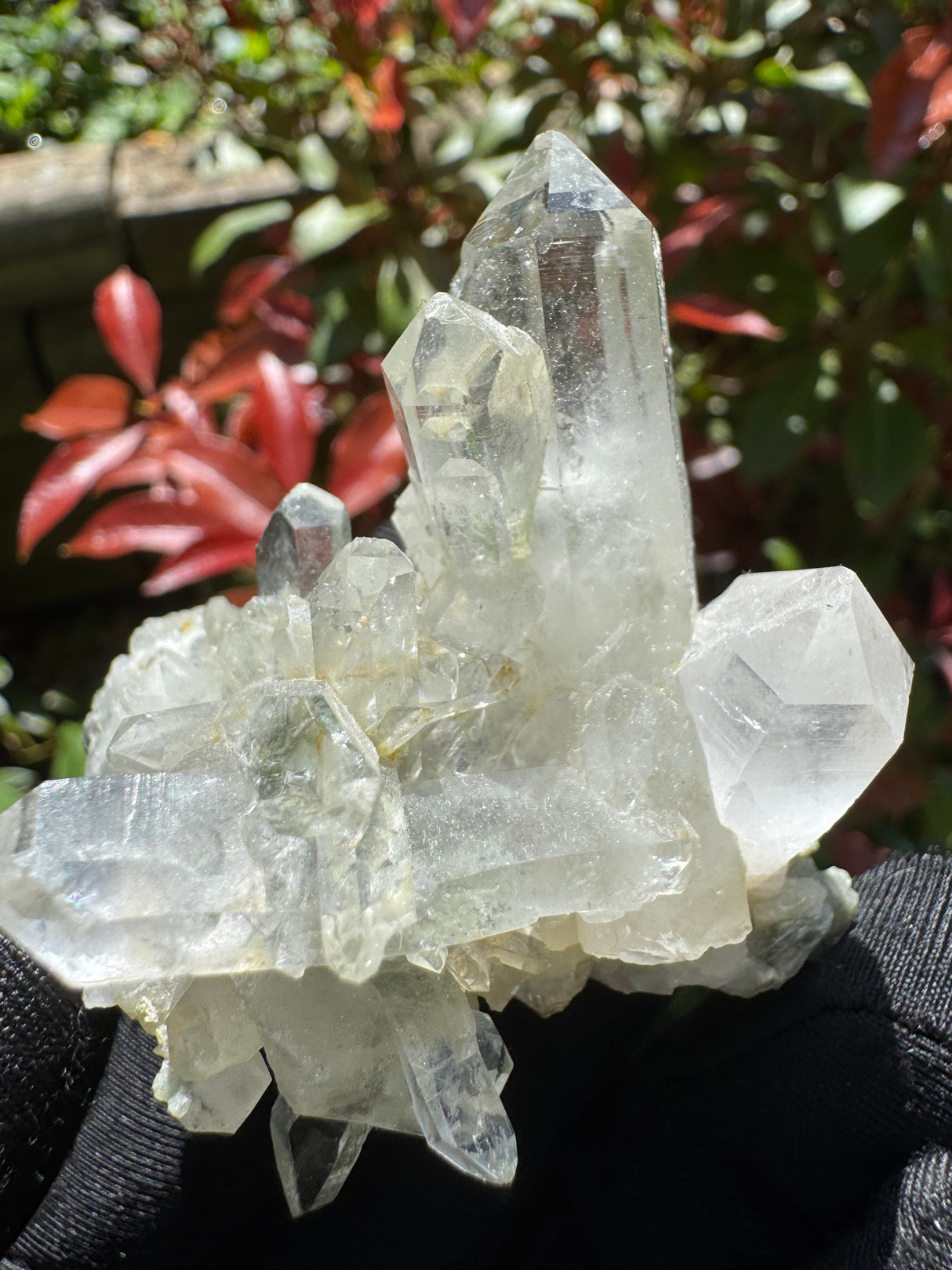 Quartz Specimen - 65g
