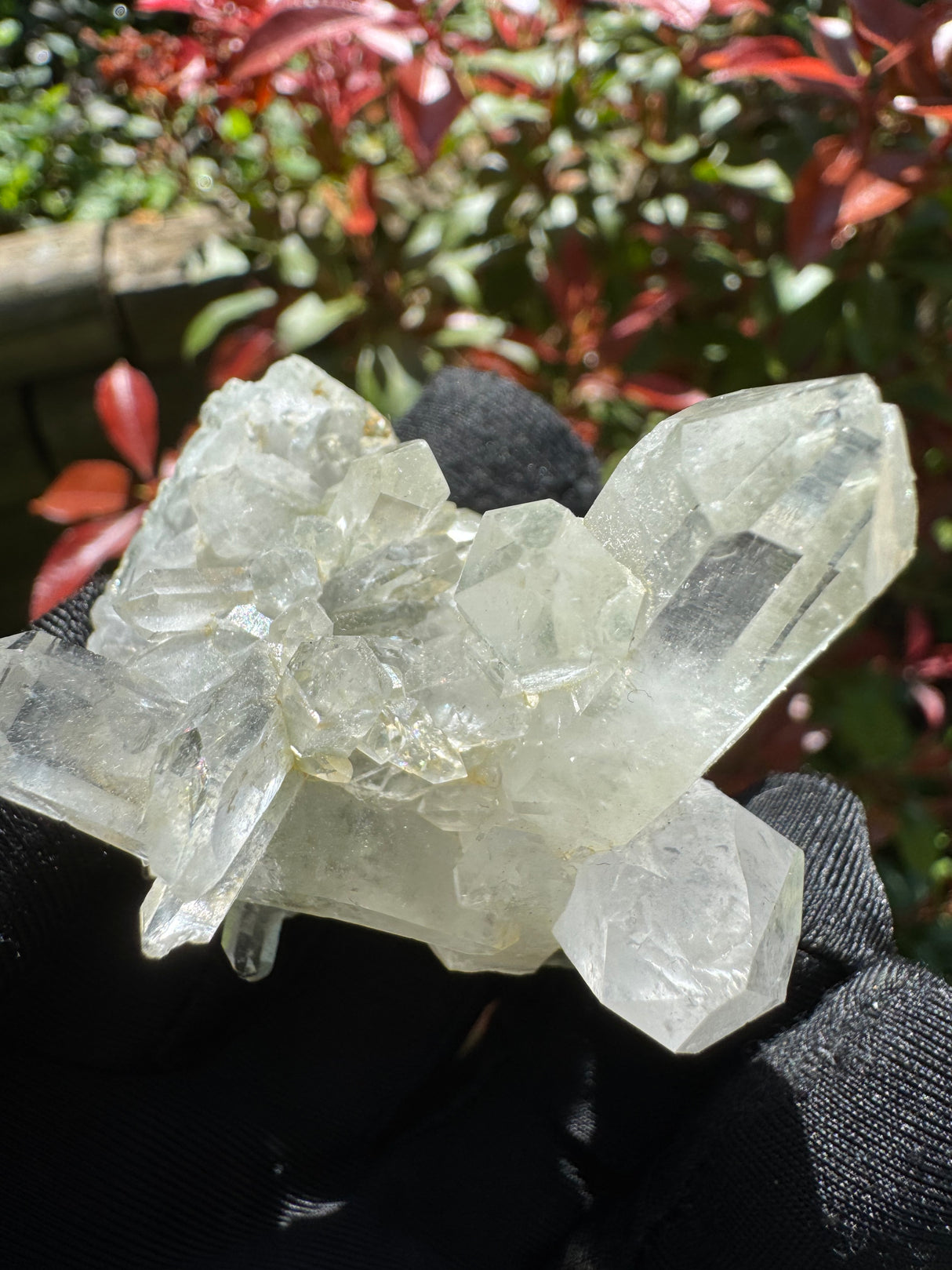 Quartz Specimen - 65g