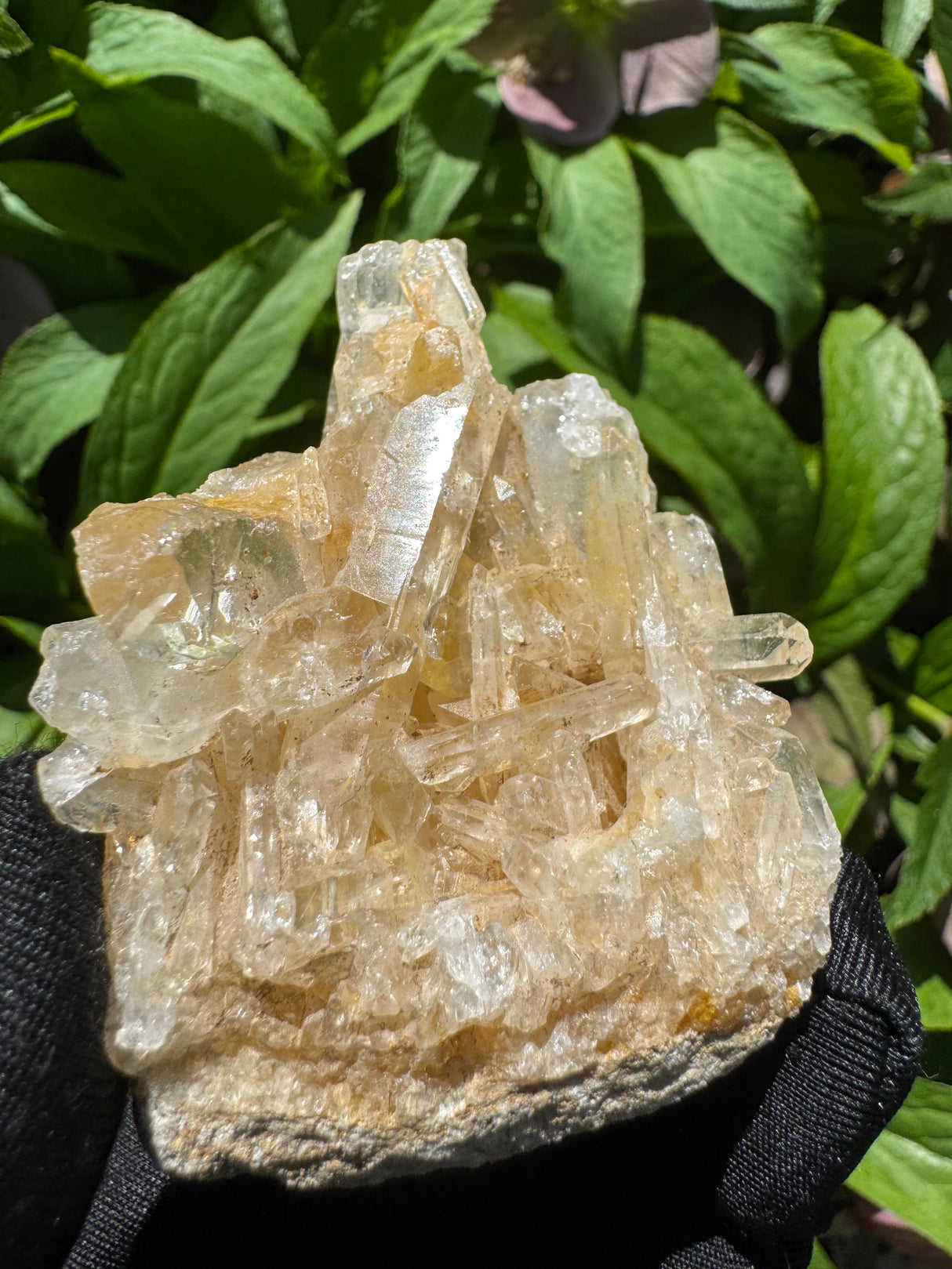 Faden Quartz Specimen - 76g