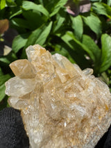 Faden Quartz Specimen - 76g