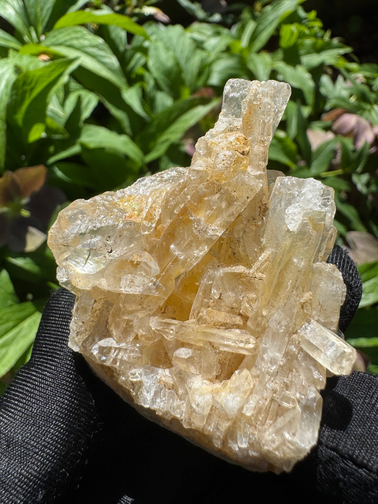 Faden Quartz Specimen - 76g