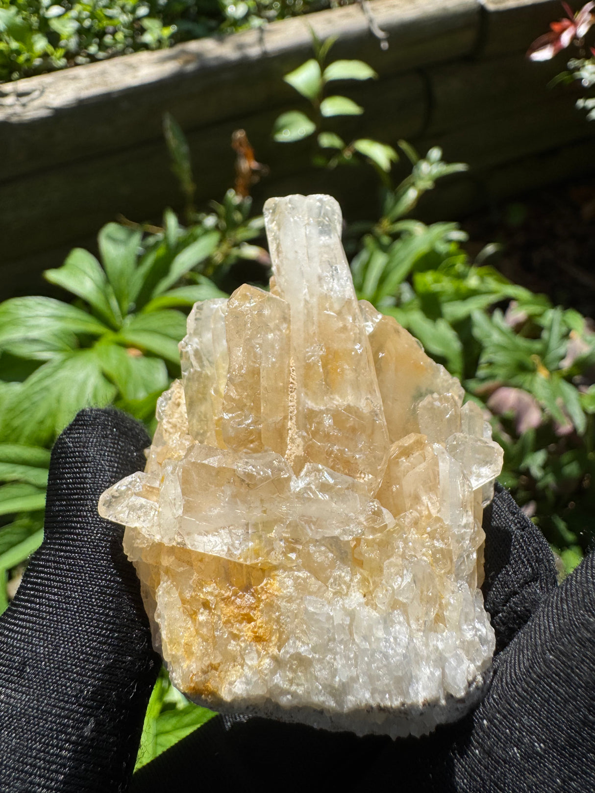 Faden Quartz Specimen - 76g