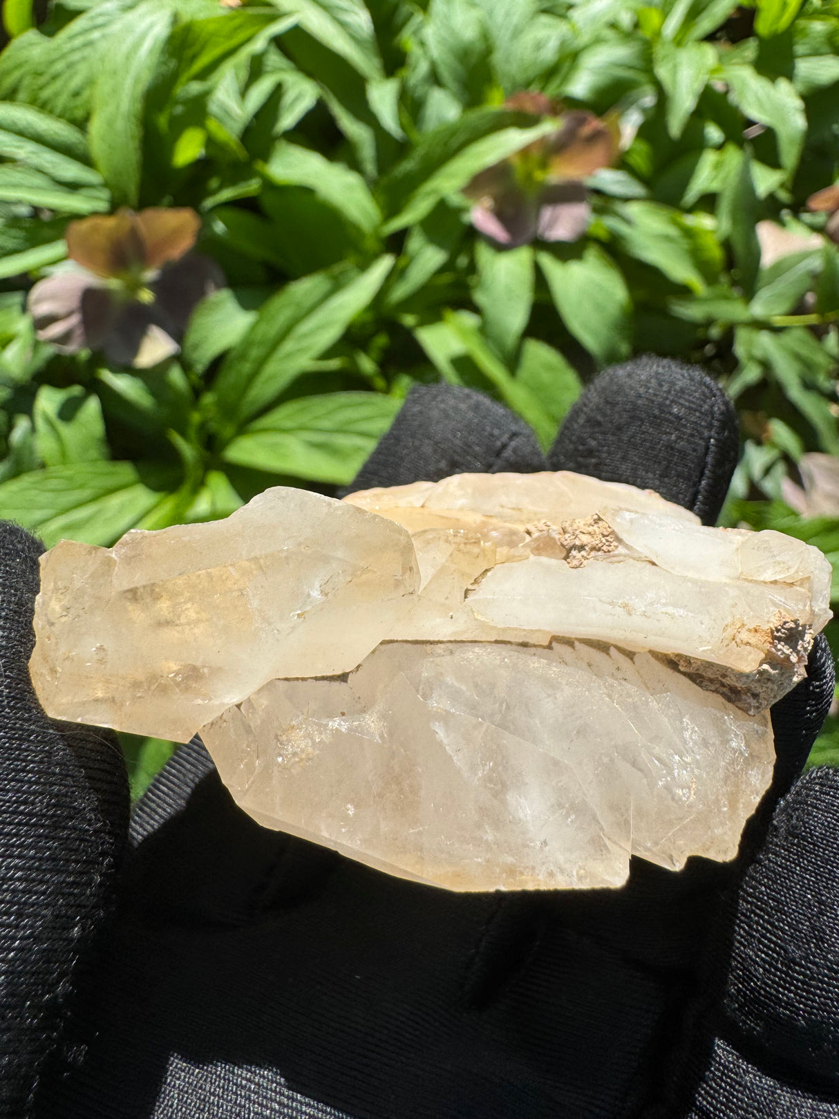 Faden Quartz Specimen - 69g
